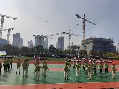 阿维尼翁队在比赛中勇往直前的简单介绍