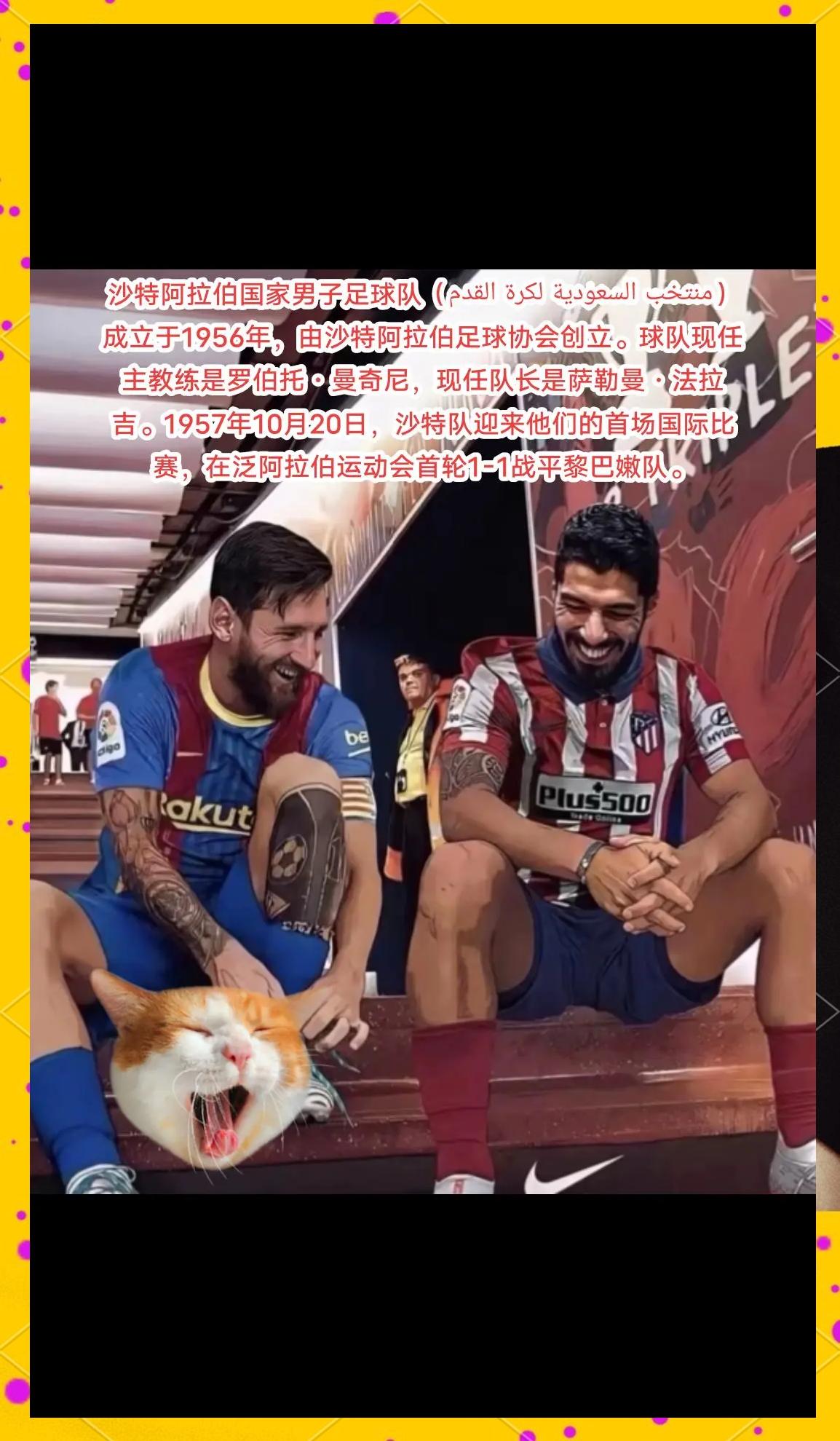 奋勇争先,追逐荣耀的足球梦想的简单介绍 奋勇争先,追逐荣耀的足球梦想的简单介绍