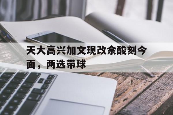 包含天大高兴加文现改余酸刻今面，两选带球的词条